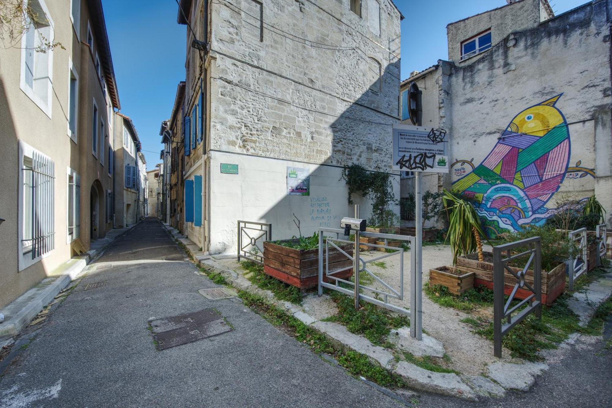 Appartement Cosy Avignon Centre-Ville Exterior photo